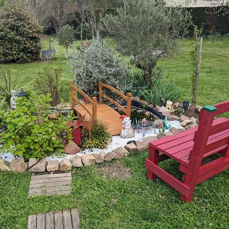 Carmaux Chambre D'Hote Amitie Et Jardin מראה חיצוני תמונה