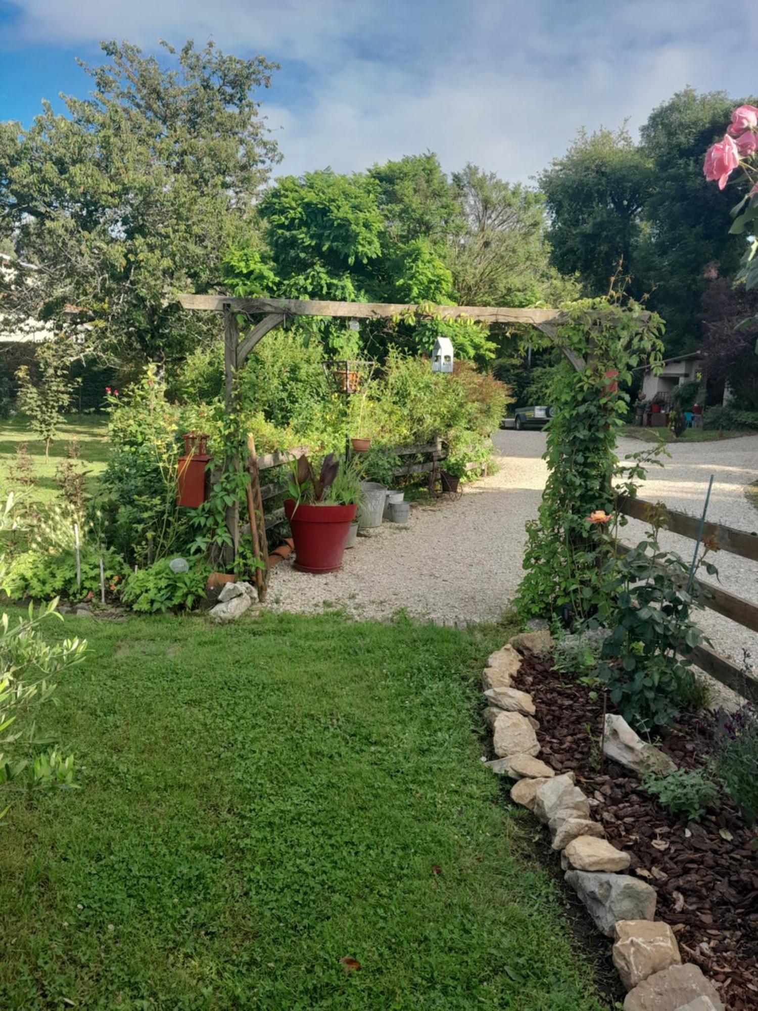 Carmaux Chambre D'Hote Amitie Et Jardin מראה חיצוני תמונה