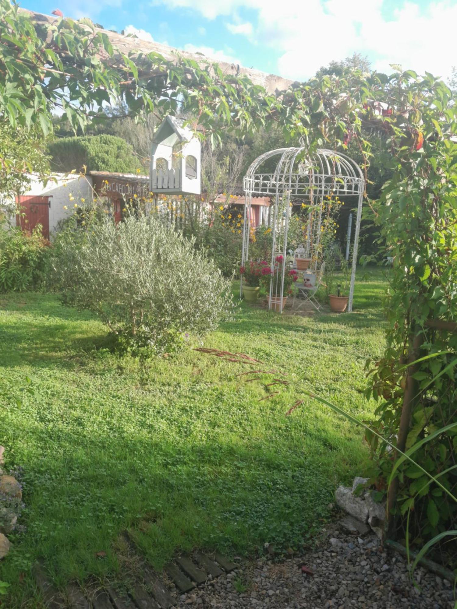 Carmaux Chambre D'Hote Amitie Et Jardin מראה חיצוני תמונה