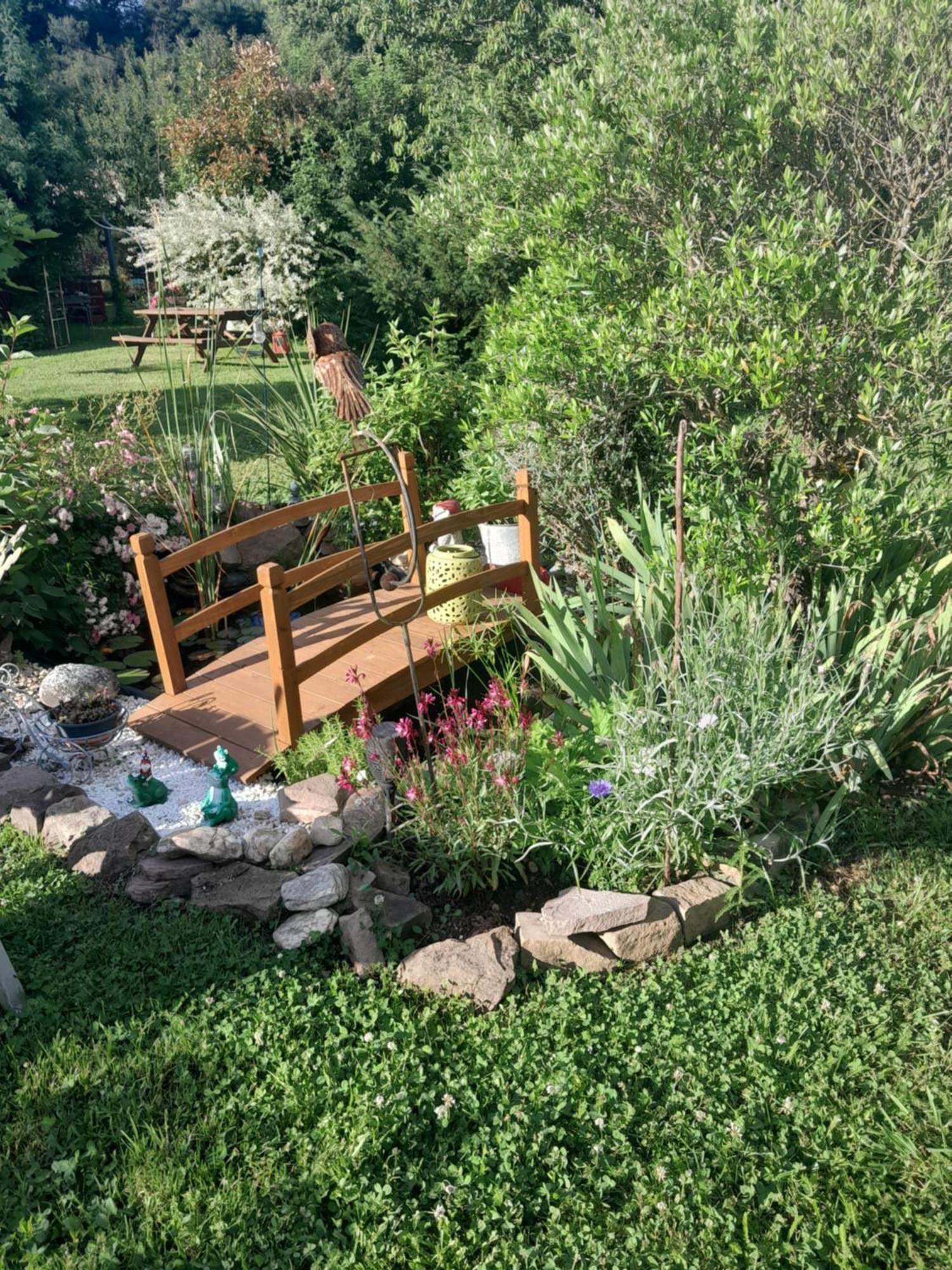 Carmaux Chambre D'Hote Amitie Et Jardin מראה חיצוני תמונה