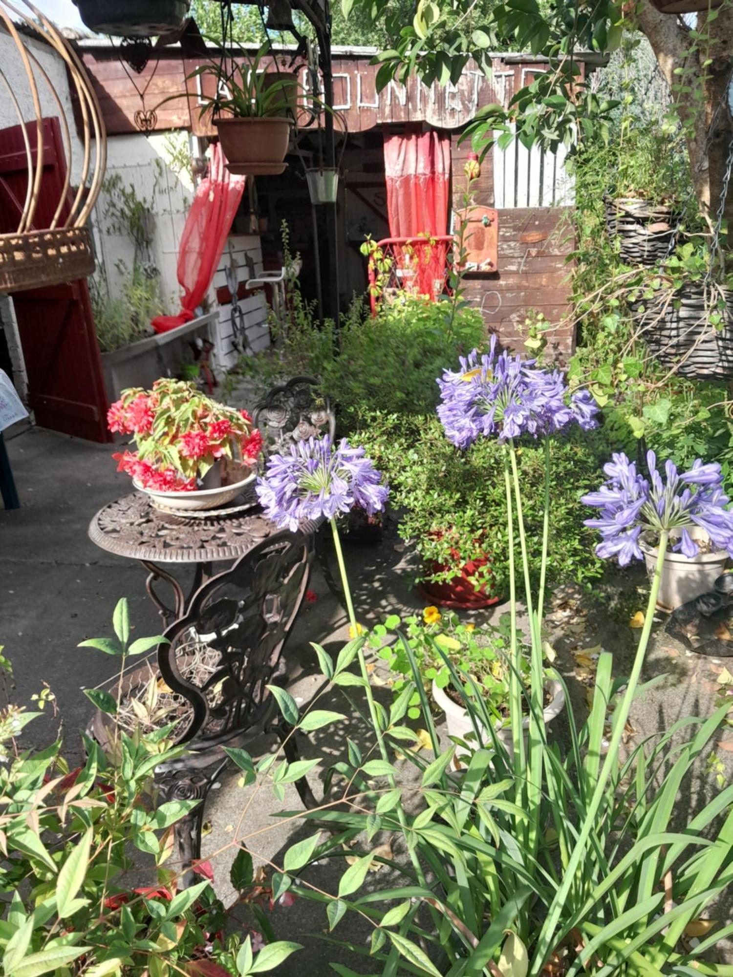 Carmaux Chambre D'Hote Amitie Et Jardin מראה חיצוני תמונה